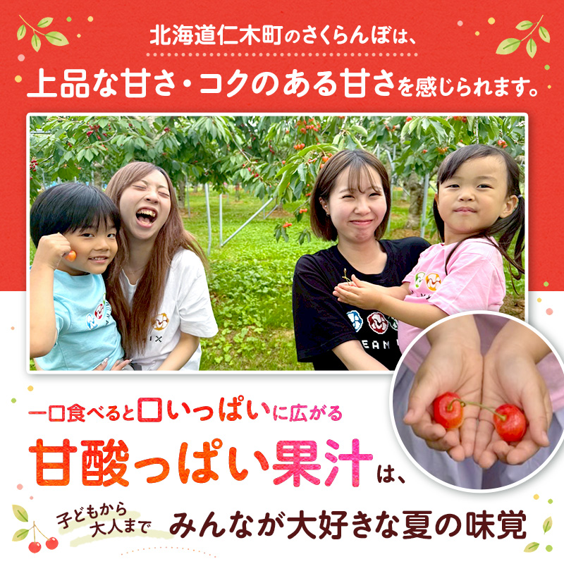 先行予約 北海道 仁木町産 さくらんぼ 南陽 600g （300g×2） 2L以上 旬