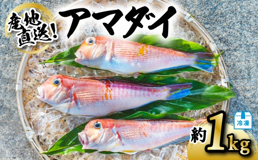 甘鯛太郎 アマダイ 約1kg 冷凍 下処理済み 松笠揚げ 甘鯛 あまだい 水揚げ時重量