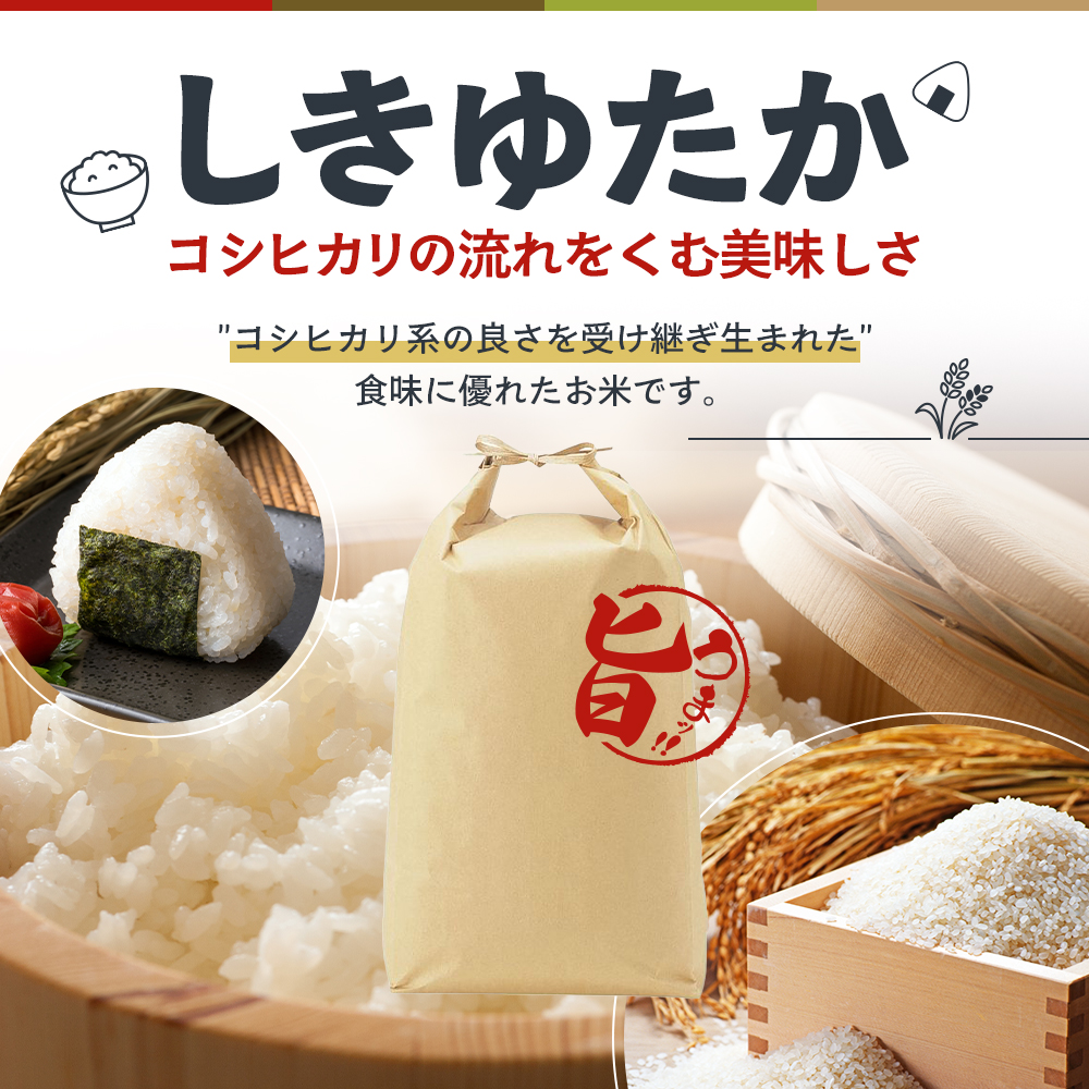 令和8年産 先行受付】しきゆたか 白米 10kg《2027年2月発送》