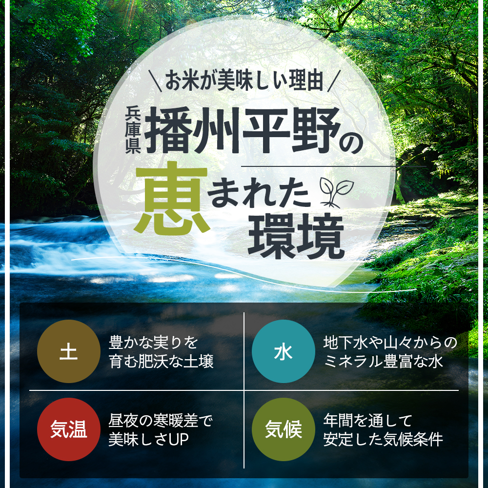 令和8年産 先行受付】しきゆたか 白米 10kg《2027年2月発送》