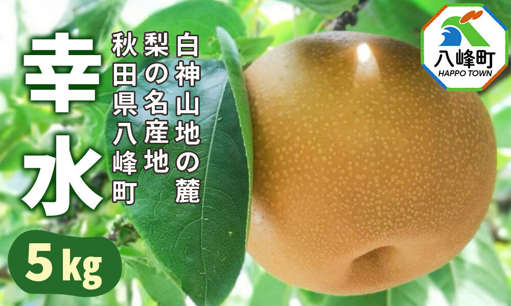 9月発送 先行受付】梨 幸水 約5kg 白神山地の麓 峰浜の梨 笠原果樹園