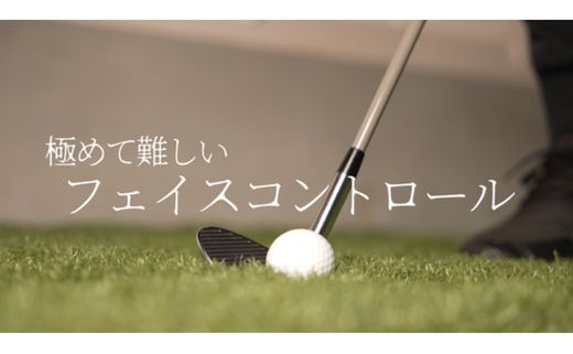 Thewedge 練習用 ウェッジ ( メッキ ) ゴルフウェッジ かっ飛びゴルフ