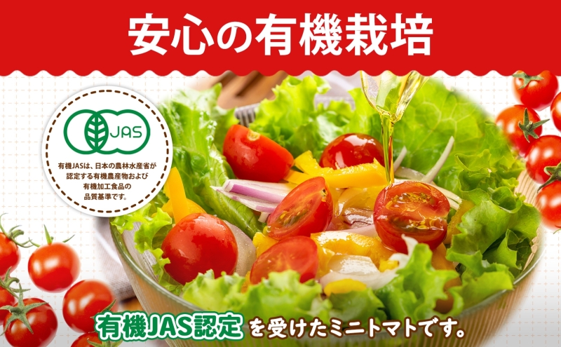 北海道 有機JAS認定 ミニトマト ダルタリー 150g×8パック 7月中旬～9月