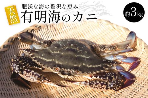BA061 天然の好漁場・肥沃な海の贅沢な恵み 有明海のカニ [ かに カニ