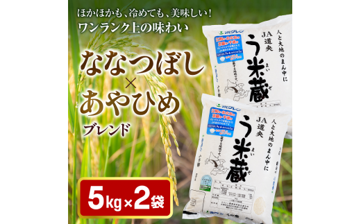 北海道米う米蔵10kg(5kg×2袋)セット【29009BA0101】