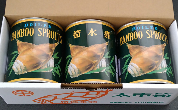 太市産筍 Dセット 筍水煮500g×3缶 缶詰 野菜