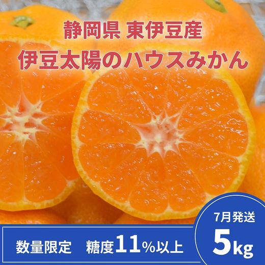 糖度11％以上 JAふじ伊豆 伊豆太陽のハウスみかん 5kg 静岡県産 1312