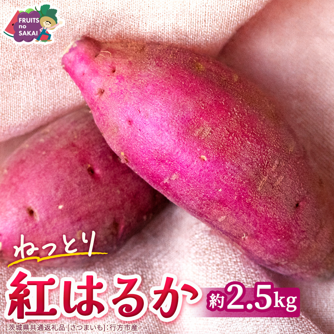 北海道 洞爺湖町産 春掘り 長芋 約5kg 先行受付 4月中旬～下旬にお届け