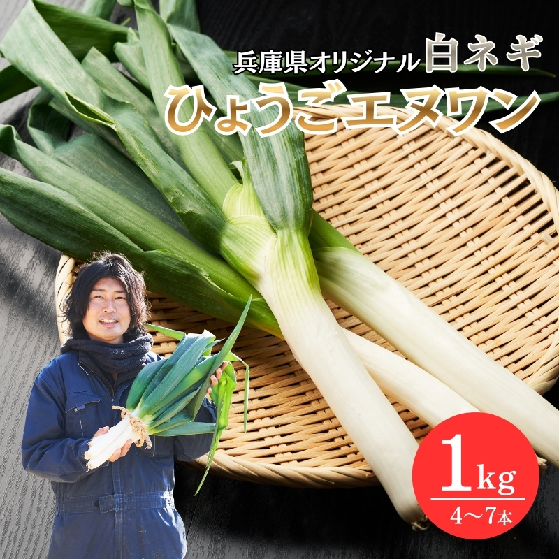 ネギP① 数量限定 テレビで話題！ 極上 ひょうごエヌワン 白ネギ 1kg 4～7本